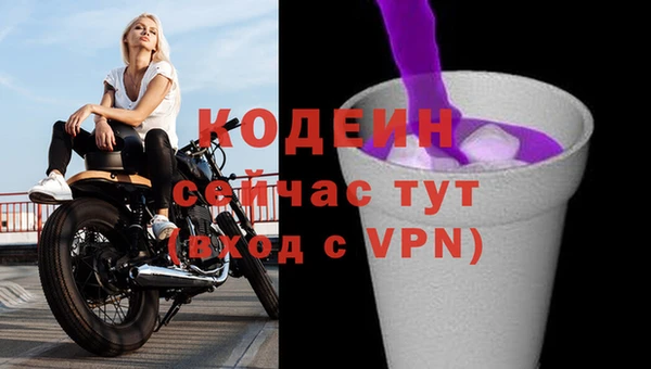 ГАЛЛЮЦИНОГЕННЫЕ ГРИБЫ Верея