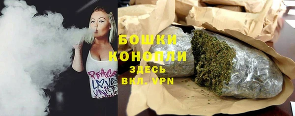 ГАЛЛЮЦИНОГЕННЫЕ ГРИБЫ Верея