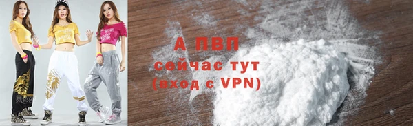 ГАЛЛЮЦИНОГЕННЫЕ ГРИБЫ Верея