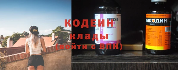 ГАЛЛЮЦИНОГЕННЫЕ ГРИБЫ Верея