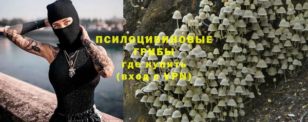 ГАЛЛЮЦИНОГЕННЫЕ ГРИБЫ Верея