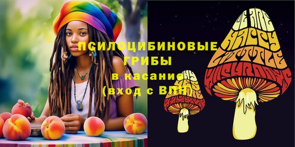 ГАЛЛЮЦИНОГЕННЫЕ ГРИБЫ Верея