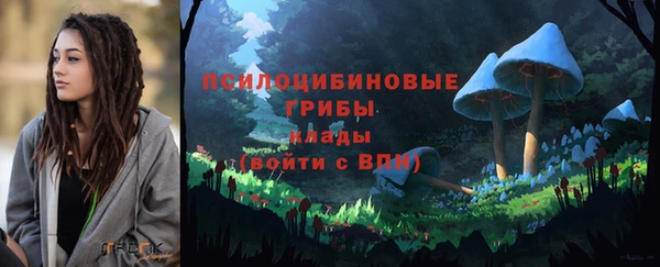 ГАЛЛЮЦИНОГЕННЫЕ ГРИБЫ Верея